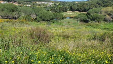 Plot next to the Golf Course