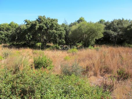 Plots for sale in Los Altos de Valderrama