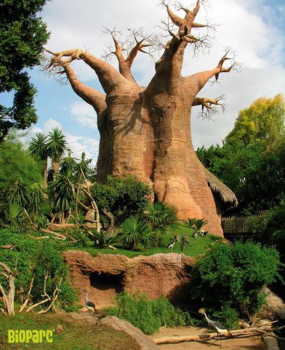 Bioparc Fuengirola