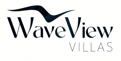 WaveView