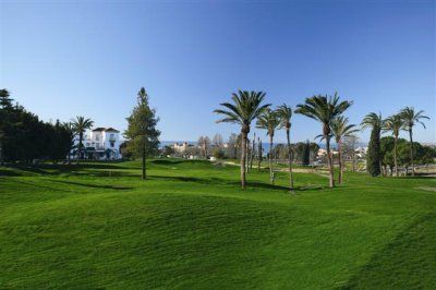 Golf views