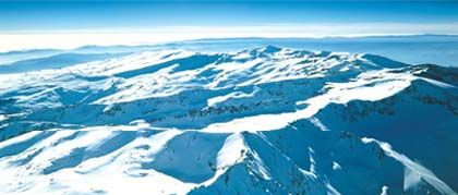 Sierra Nevada - The One and Only