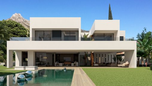 Luxury Villa Project With Endless Potential