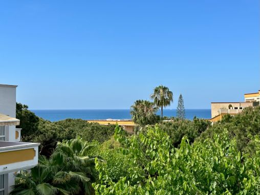 Amplio apartamento cerca de la playa de Elviria