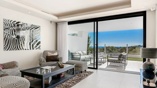 Luxurious apartment with panoramic sea views