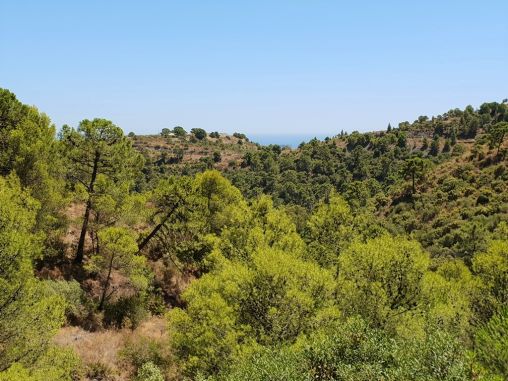 Terrain à vendre dans El Madroñal, Benahavis
