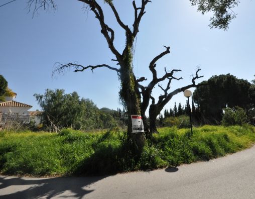 Parcelle avec projet au cœur d'Elvira.