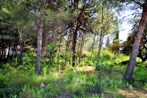 Fabuloso terreno para una villa en Cascada de Camoján