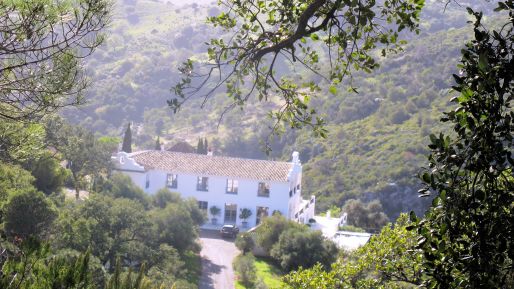 Countryside villa in Casares