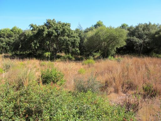 Parcelas en venta en Los Altos de Valderrama