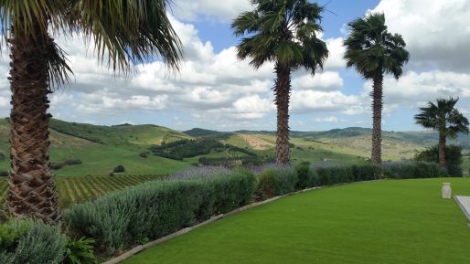 Finca with horse paddocks near Sotogrande