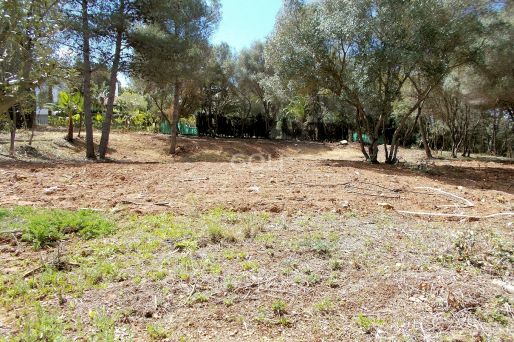 Well located plot for sale in Lower Sotogrande