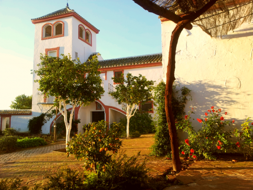 Propiedad con encanto, el espíritu de Andalucía. Carmona Sevilla