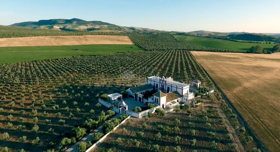 Hotel en venta en Ronda