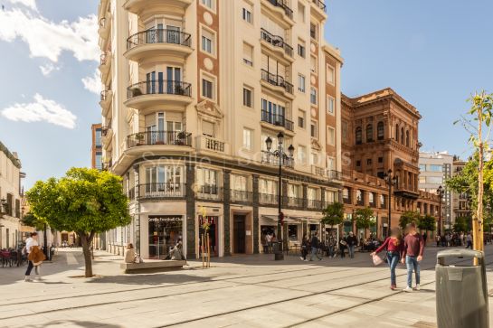 Piso en venta reformado junto a Puerta Jerez