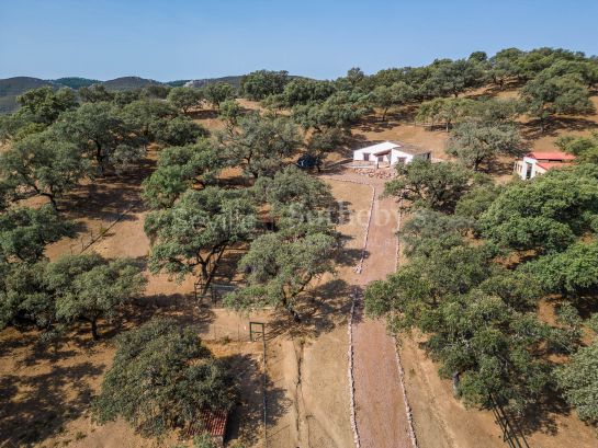 Farmhouse in Corteconcepción