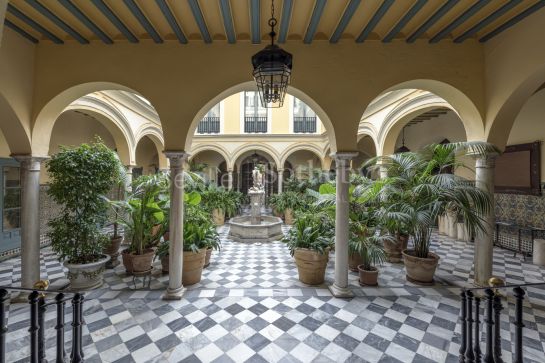 Luxurious apartment in Casa Palacio in front of the Museum of Fine Arts in Seville