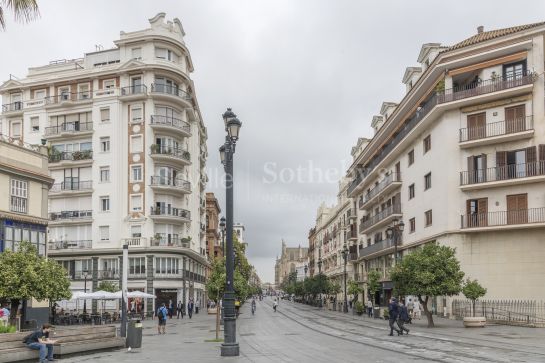 Exclusivo piso doble en Puerta Jerez