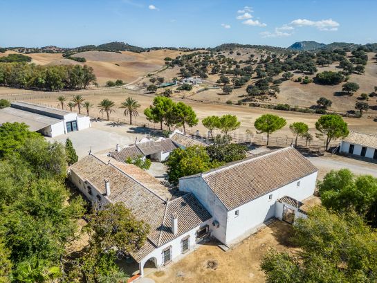 Livestock pasture with farmhouse and stud farm