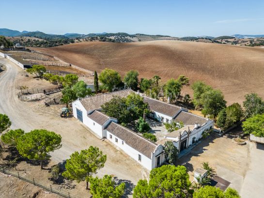 Livestock pasture with farmhouse and stud farm