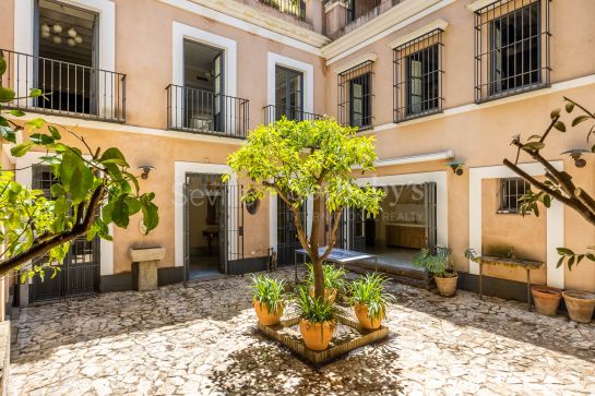 An exclusive house with terrace, courtyard and pool in the centre of Seville.