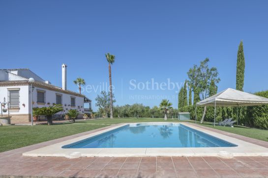 Recreation, equestrian and olive grove property in the Province of Seville