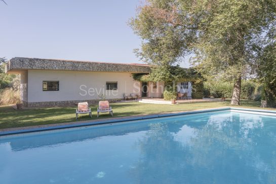 Casa con encanto y gran parcela de 7.000 m², piscina y pista de tenis en Sanlucar La Mayor_Olivares