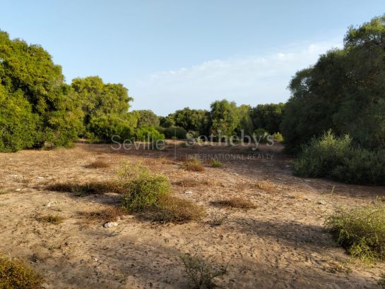 Estate in Medina Sidonia