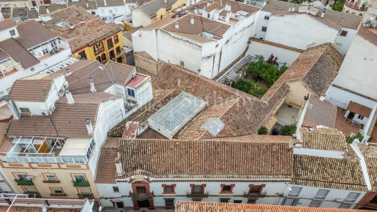 Casa palacio histórica con gran patio Andújar