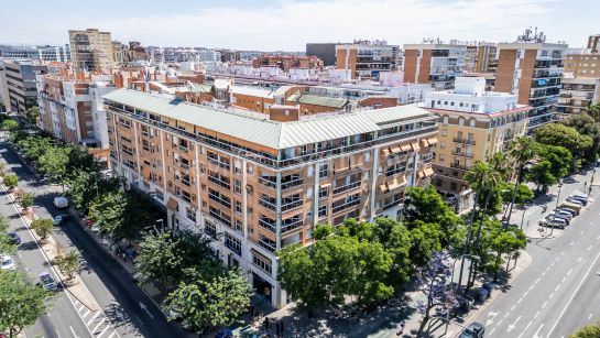 Bright Apartment on Avenida de la Buhaira