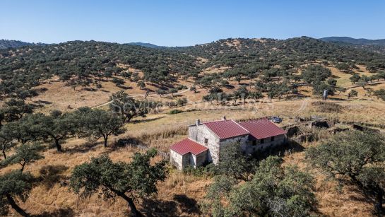 Livestock Dehesa of 208 Hectares in Aracena