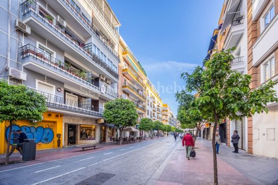 Commercial premises with showcase in Los Remedios