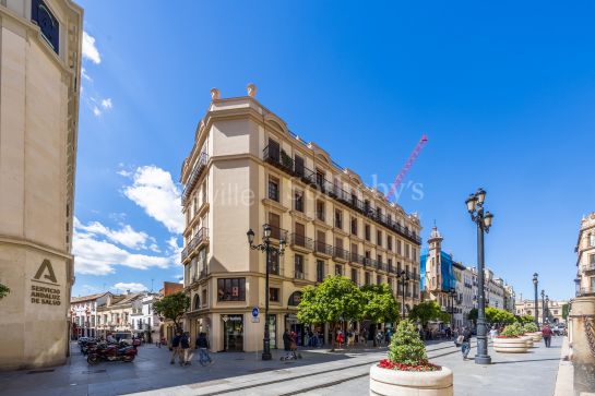 Exterior apartment facing Seville Cathedral