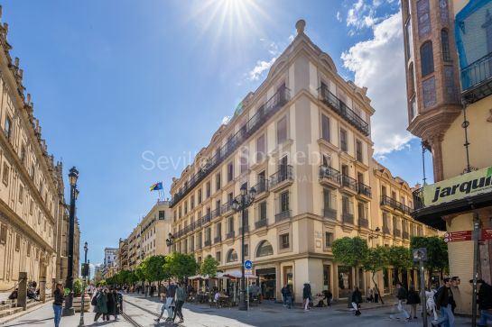 Piso exterior frente a la Catedral de Sevilla