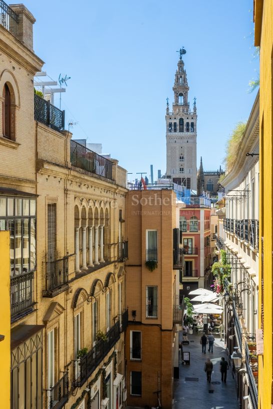 Renovated apartment with balcony and views of the Giralda