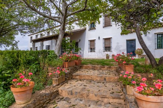 Finca de olivar ecológico en el Parque Natural de la Sierra Norte de Sevilla