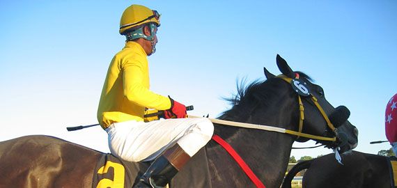 Hipódromo Costa del Sol